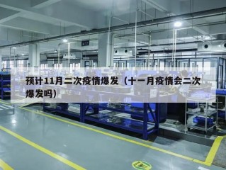 预计11月二次疫情爆发（十一月疫情会二次爆发吗）