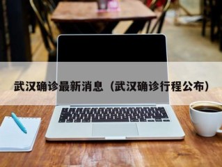 武汉确诊最新消息（武汉确诊行程公布）