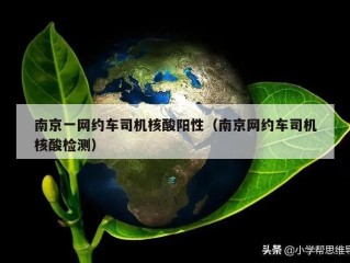 南京一网约车司机核酸阳性（南京网约车司机核酸检测）