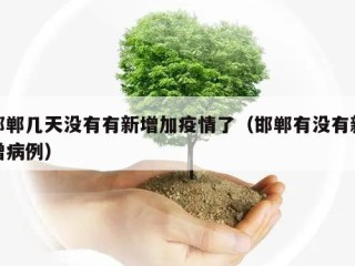 邯郸几天没有有新增加疫情了（邯郸有没有新增病例）