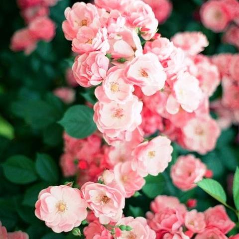 时时赚app下载绿色版V81.37.171.157ios版本-推荐 时时赚app下载绿色版V81.37.171.157ios版本-推荐
